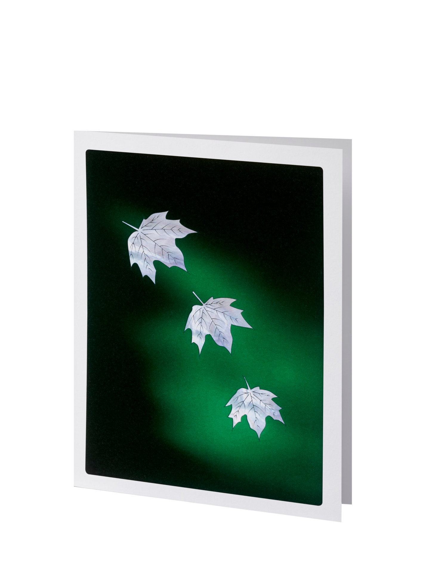 Elegant Line - Green Falling Leaves - Service Record