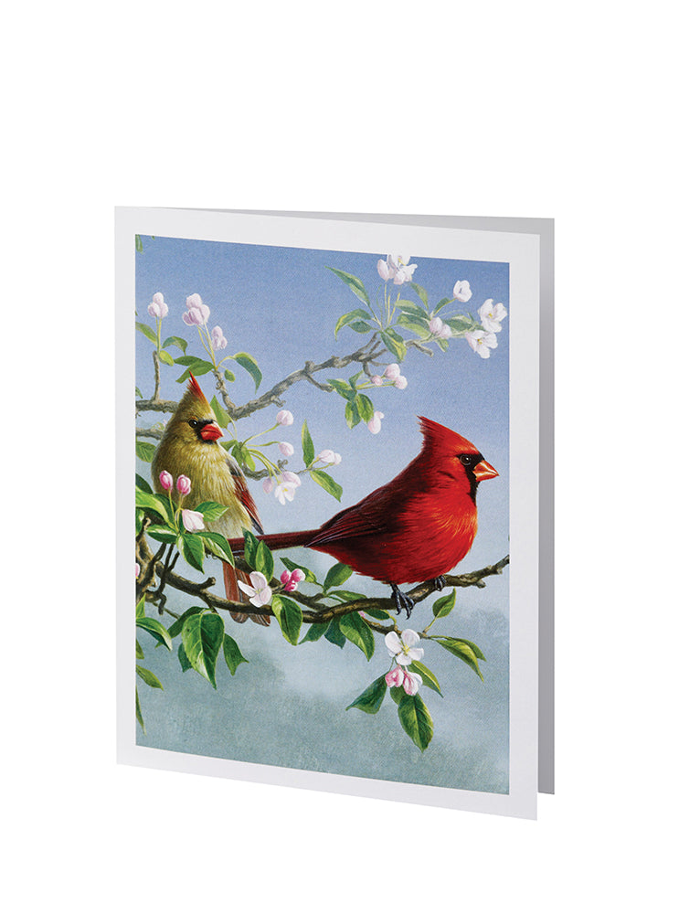 Radiant Line - Cardinal - Service Record
