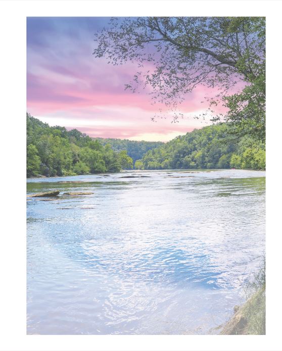 Radiant Line - Water Stream - Service Record