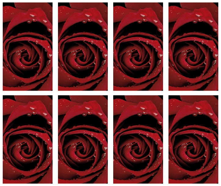 8x Single Red Rose Prayer Cards