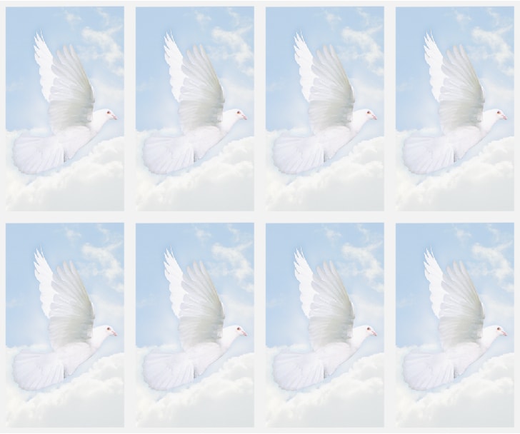 8x White Dove on gentle blue sky Prayer Cards