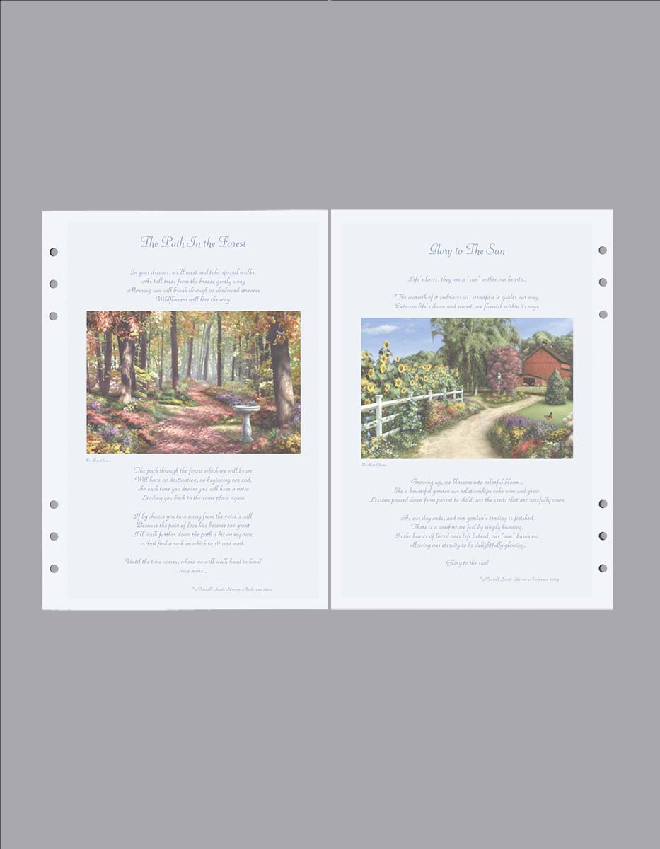 forest path and gazebo scene divider page