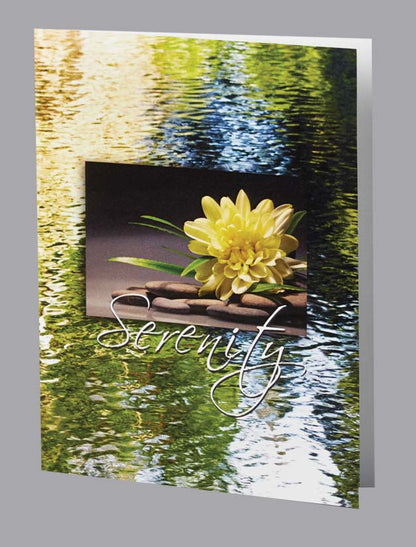 Yellow Lily serenity service record