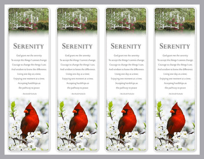 4UP bookmarks with bright red cardinal