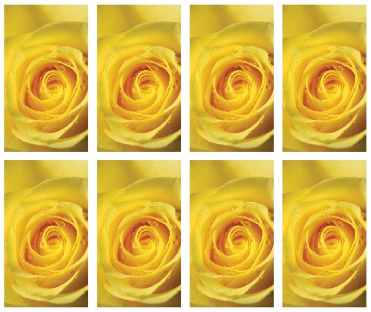 8x Single Yellow Rose Prayer Cards