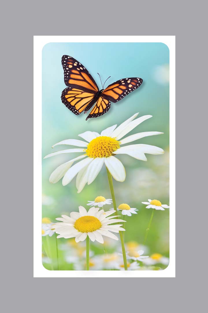 flying monarch butterfly prayer card