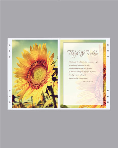 large bright sunflower divider page