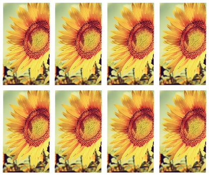 8x single sunflower Prayer Cards