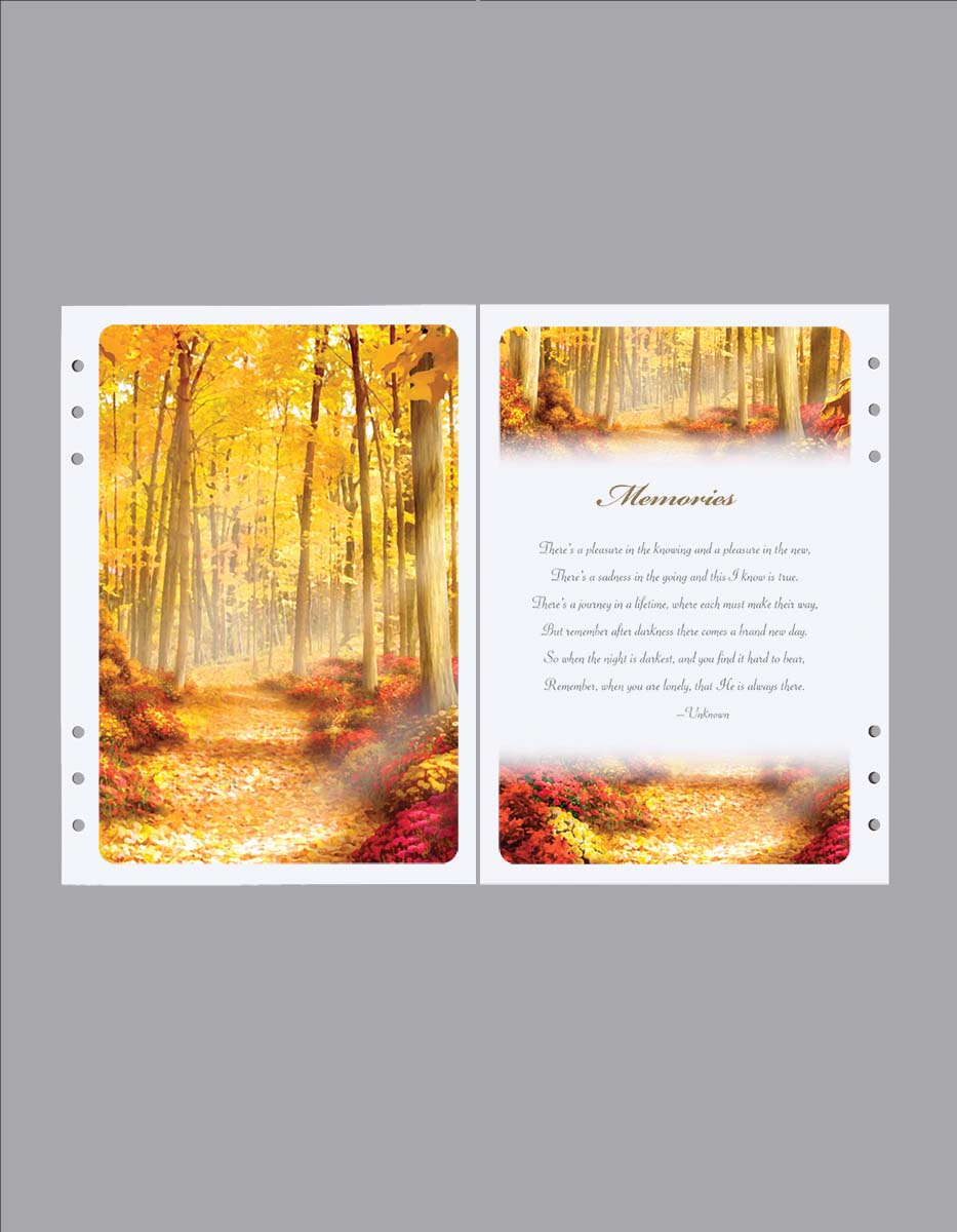 golden forest path and memories divider path