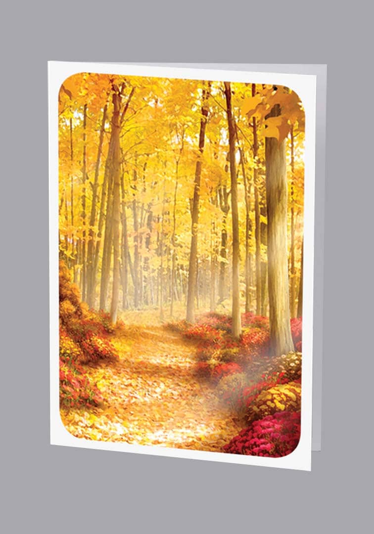 Golden light along autumn forest path Thank you card