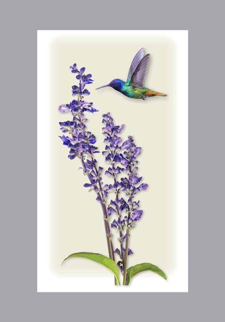 Hummingbird with lilac prayer card