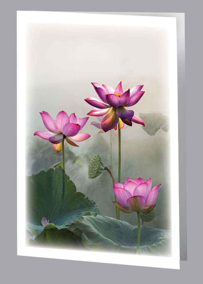 3 pink lotus flowers in mist thank you card