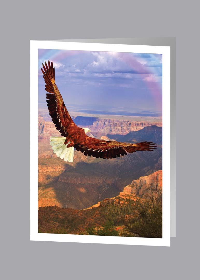 Flying bald eagle over canyon thank you card