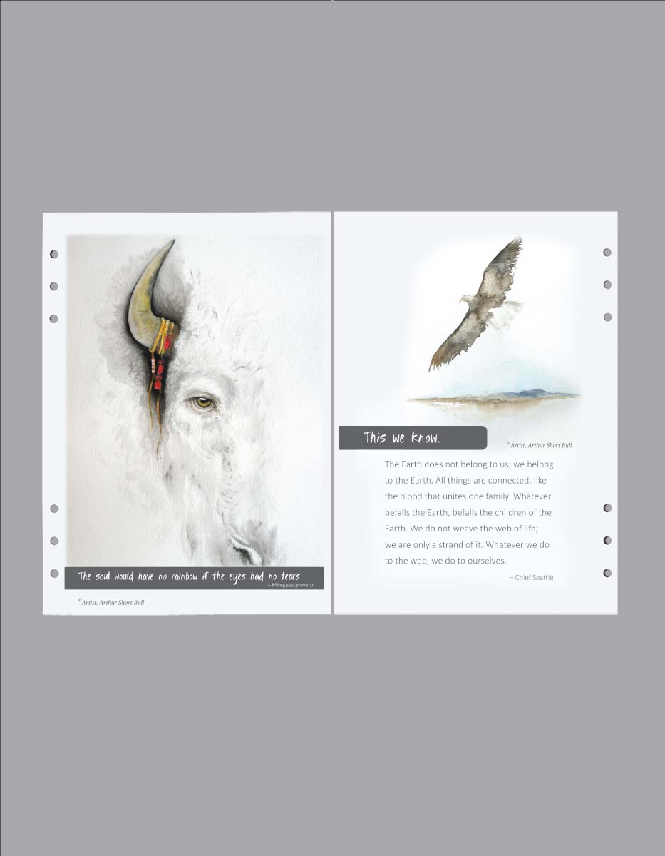 White buffalo and flying bald eagle divider