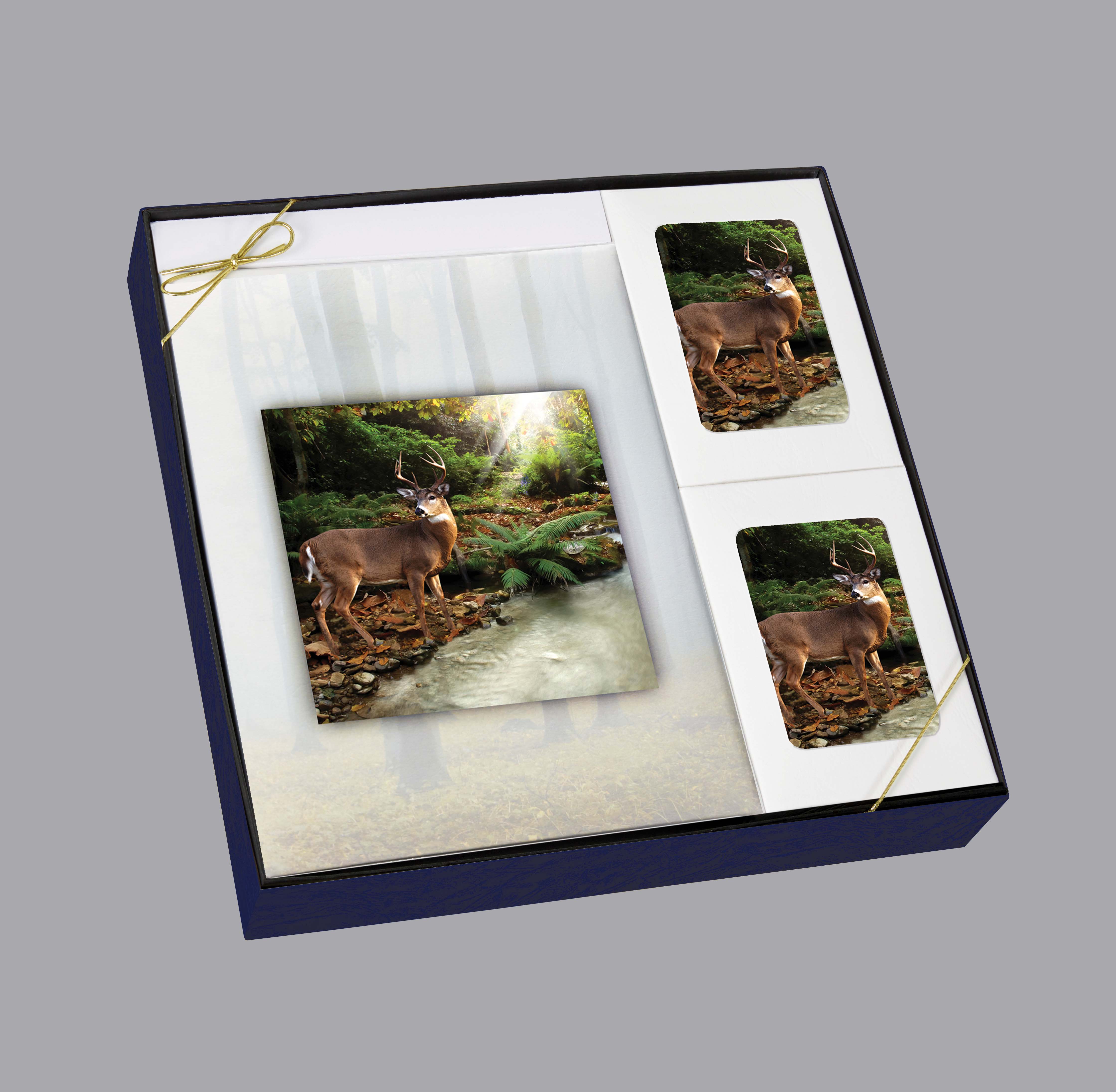 Forest Retreat Box Set