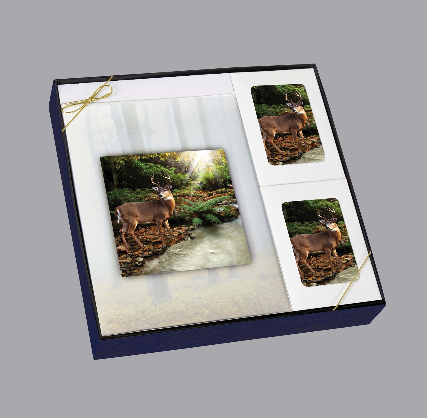 Forest Retreat Box Set