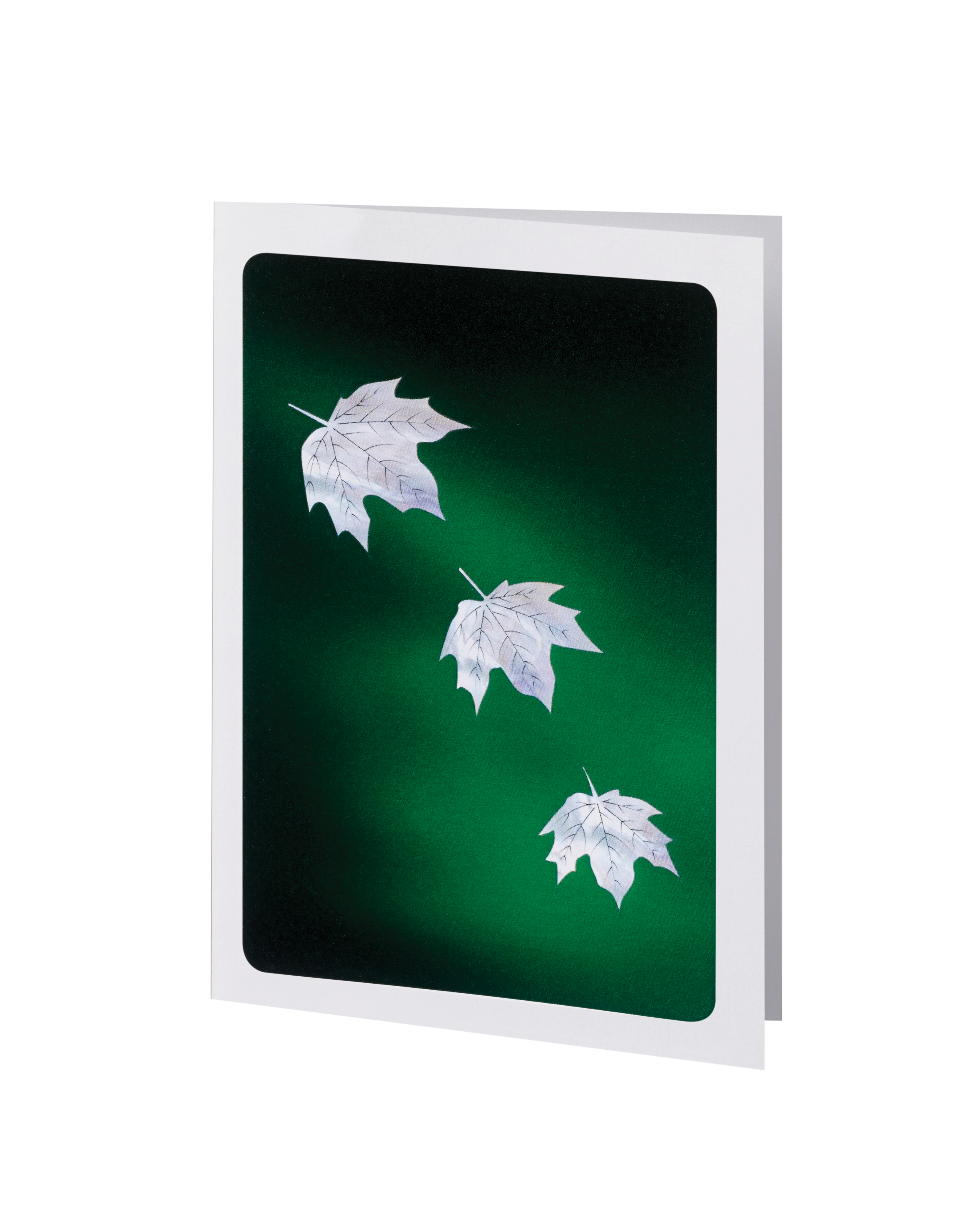Elegant Line - Green Falling Leaves - Acknowledgment