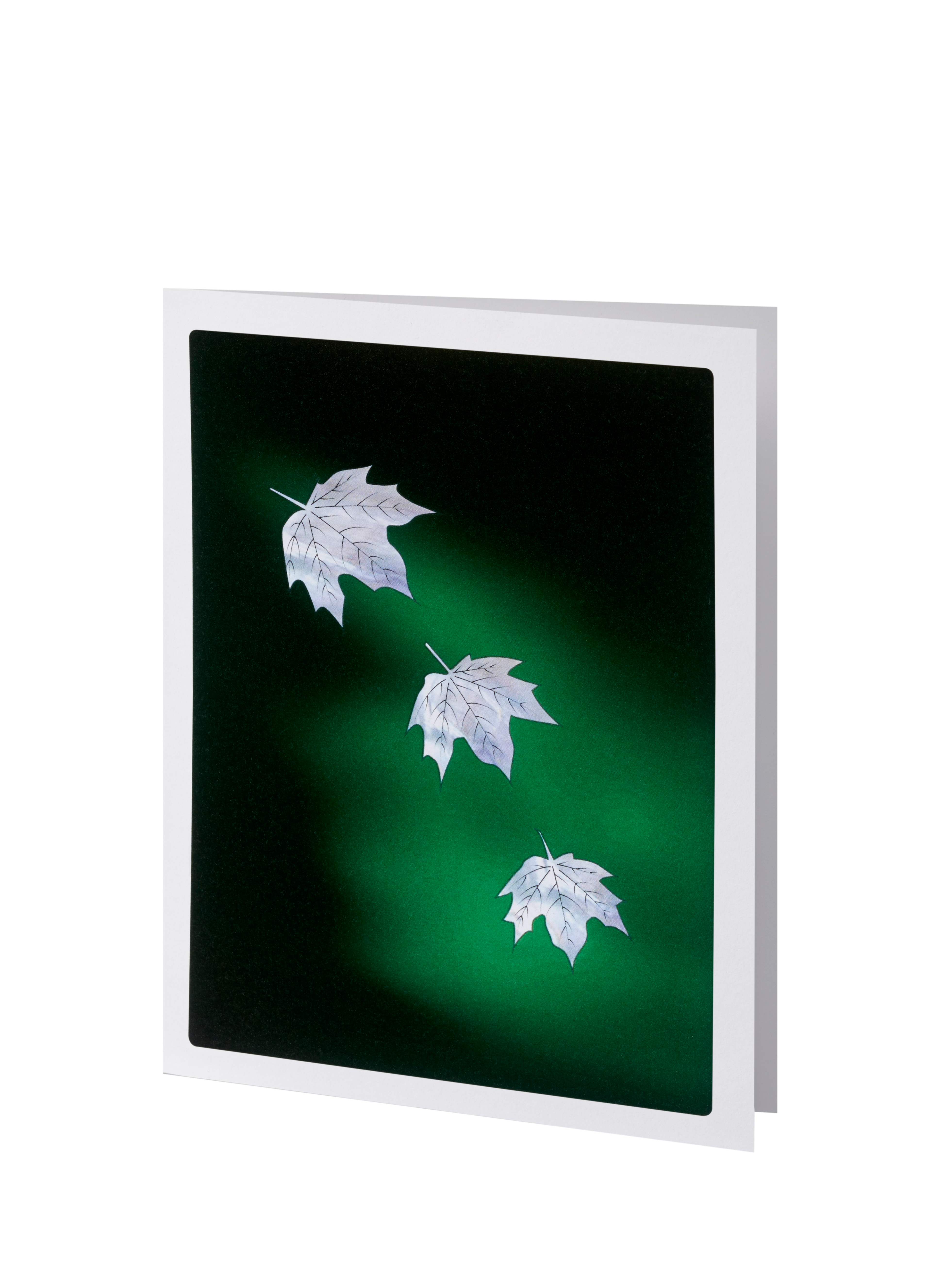 Elegant Line - Green Falling Leaves - Service Record