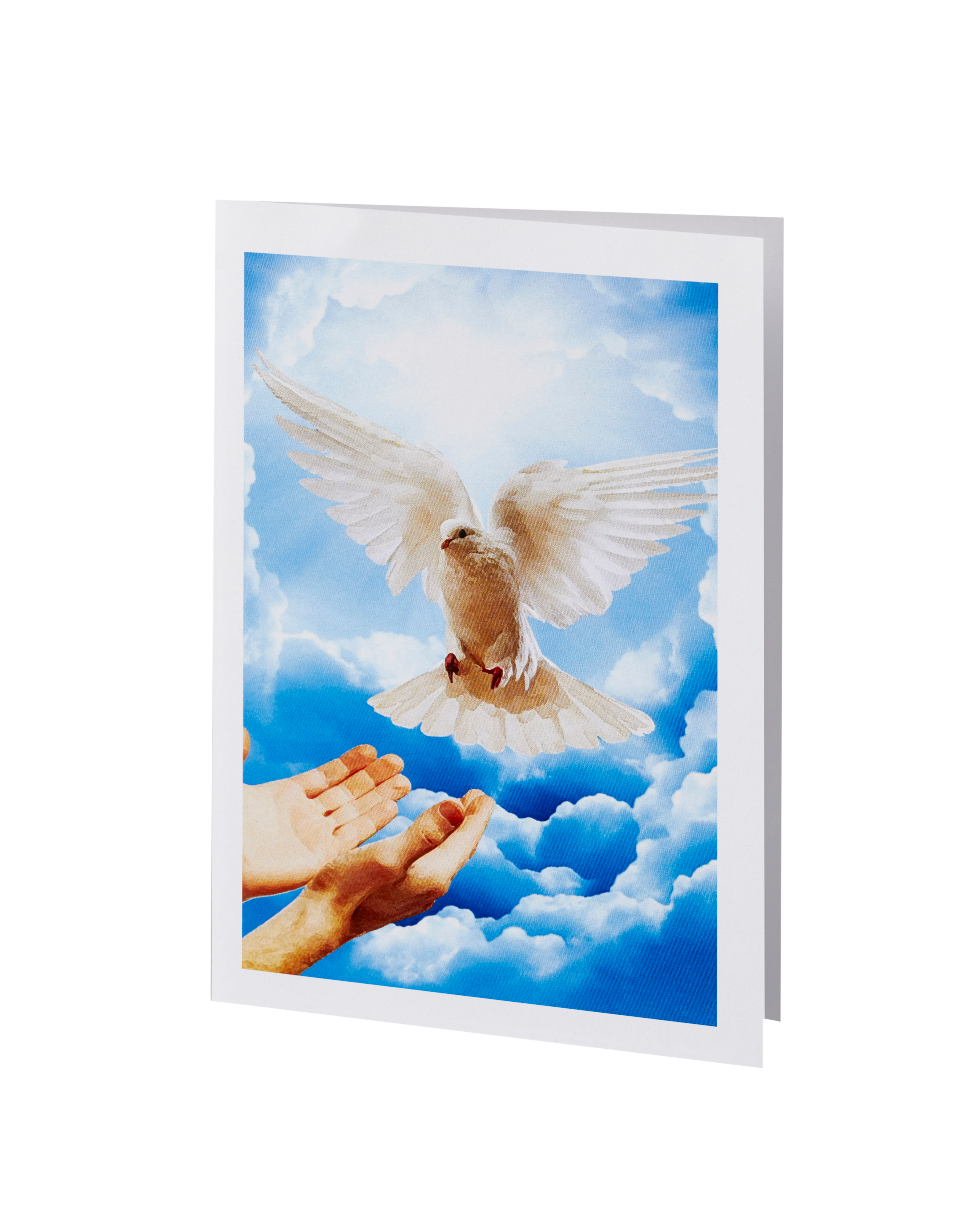 Radiant Line - Dove - Acknowledgment