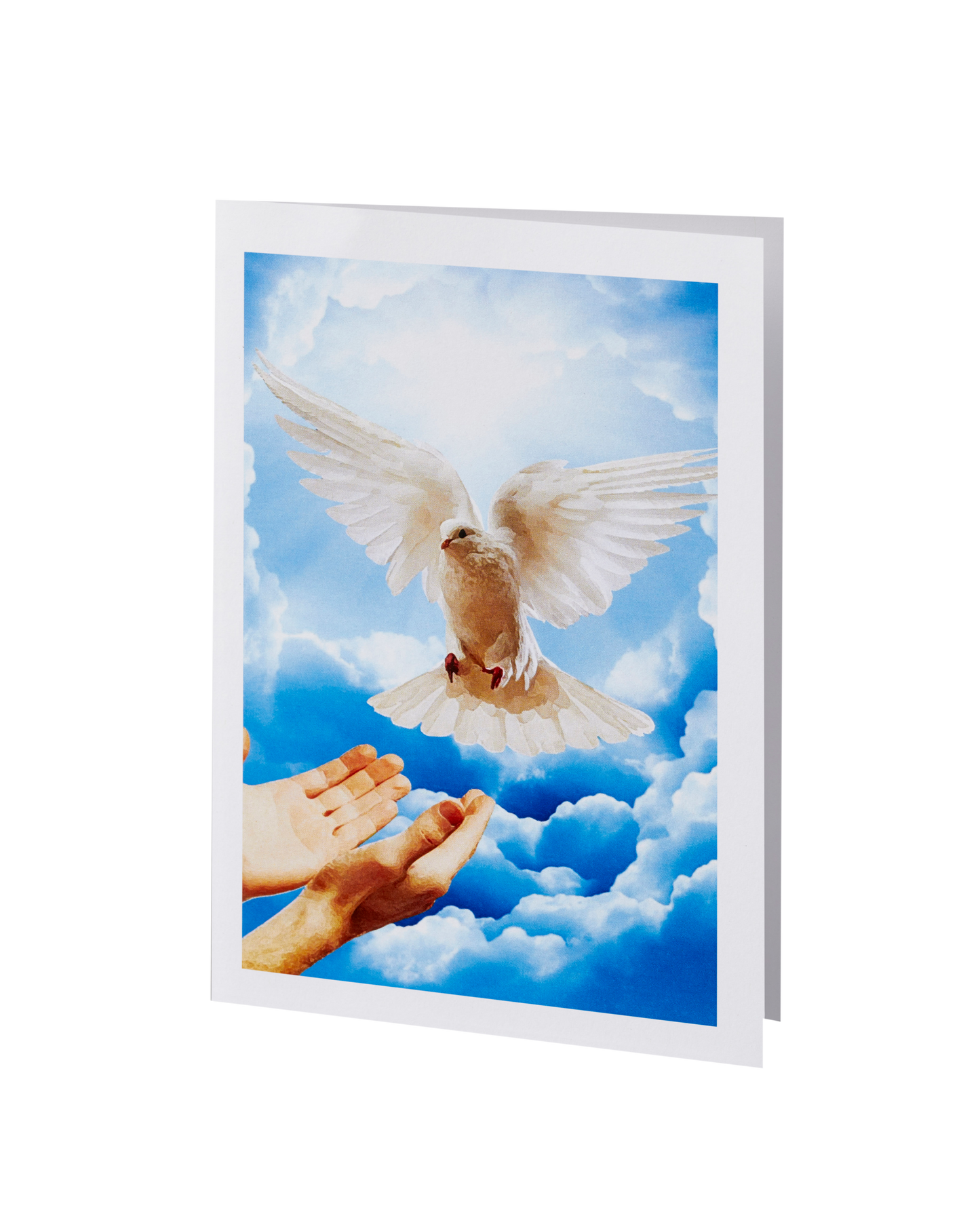 Radiant Line - Dove - Acknowledgment
