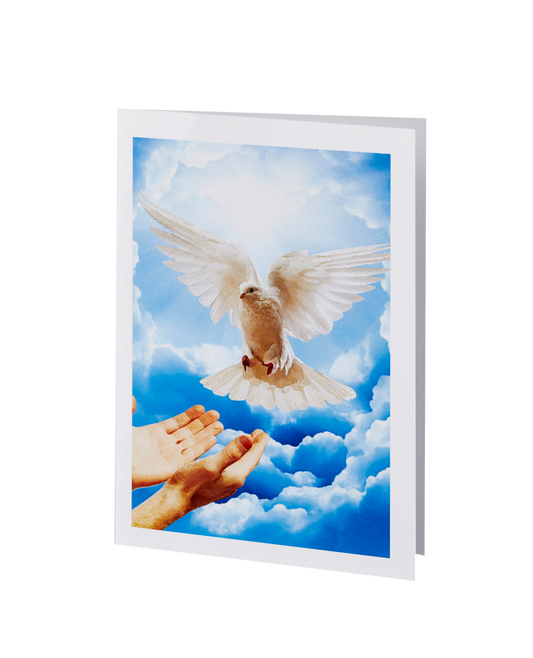 Radiant Line - Dove - Acknowledgment