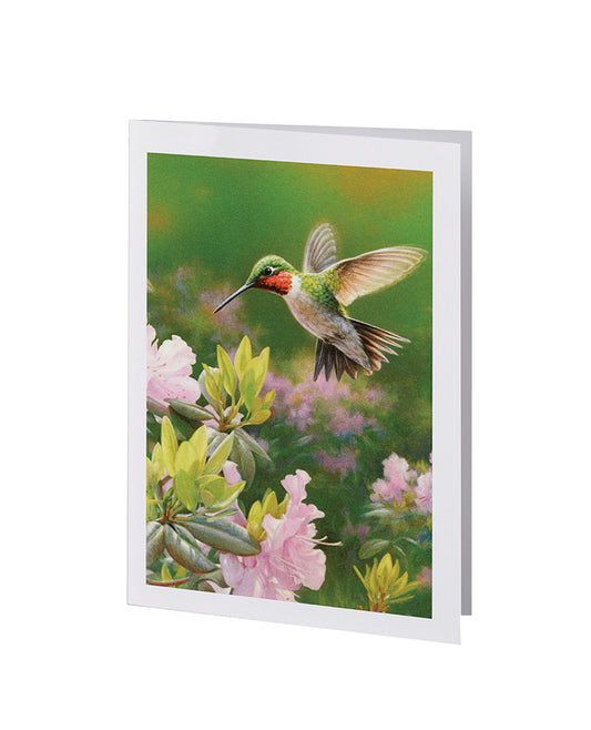 Radiant Line - Hummingbird - Acknowledgment
