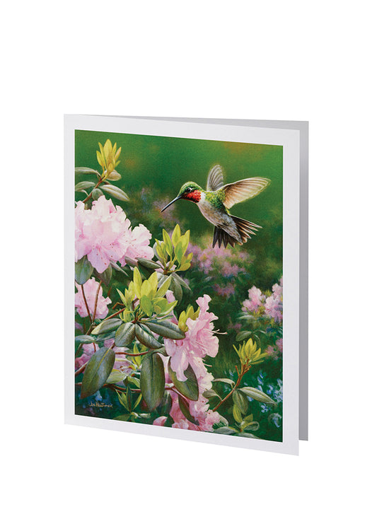 Radiant Line - Hummingbird - Service Record