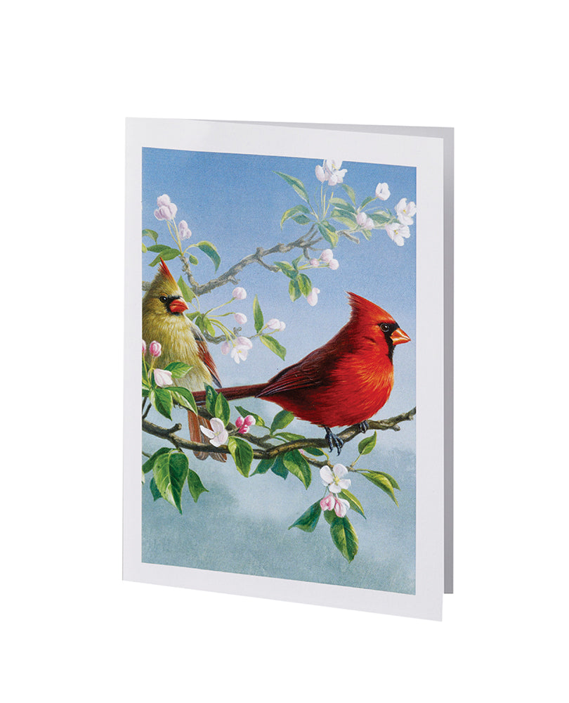 Radiant Line - Cardinal - Acknowledgment