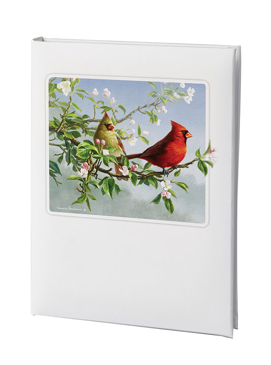 Radiant Line - Cardinal - 6 Ring