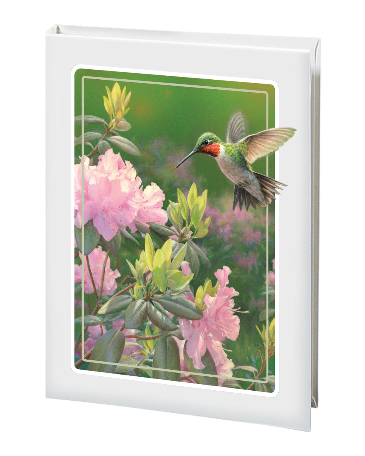 Radiant Line - Hummingbird - White - 6 Ring