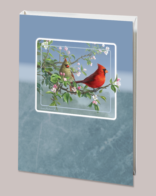 Radiant Line - Cardinal - Blue - 6 Ring