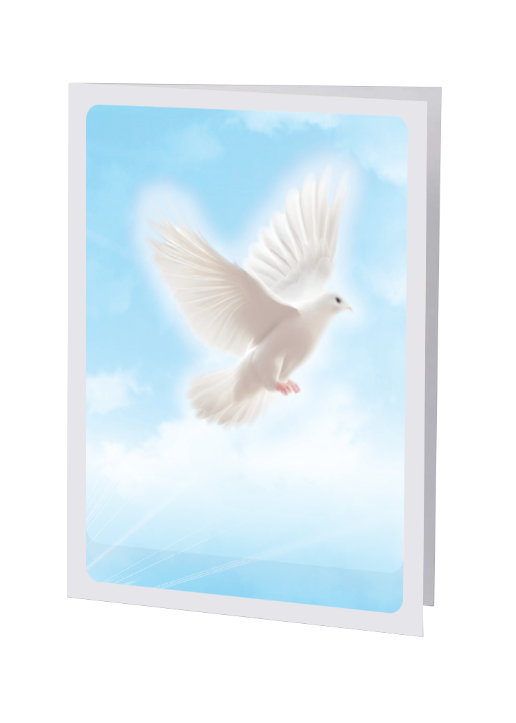 Radiant Line - Flying Dove - Service Record
