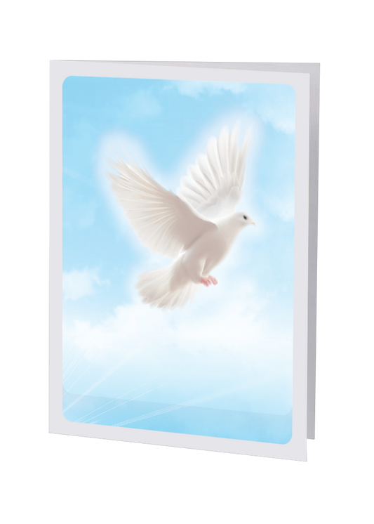 Radiant Line - Flying Dove - Service Record
