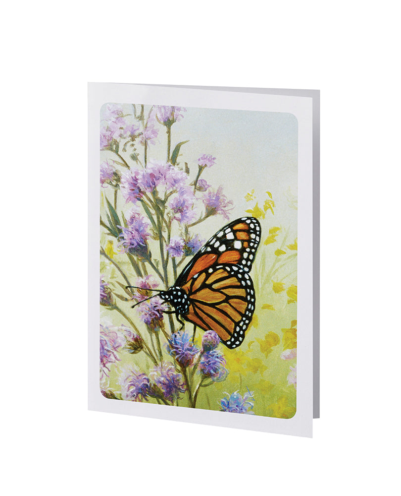 Radiant Line - Butterfly - Acknowledgment