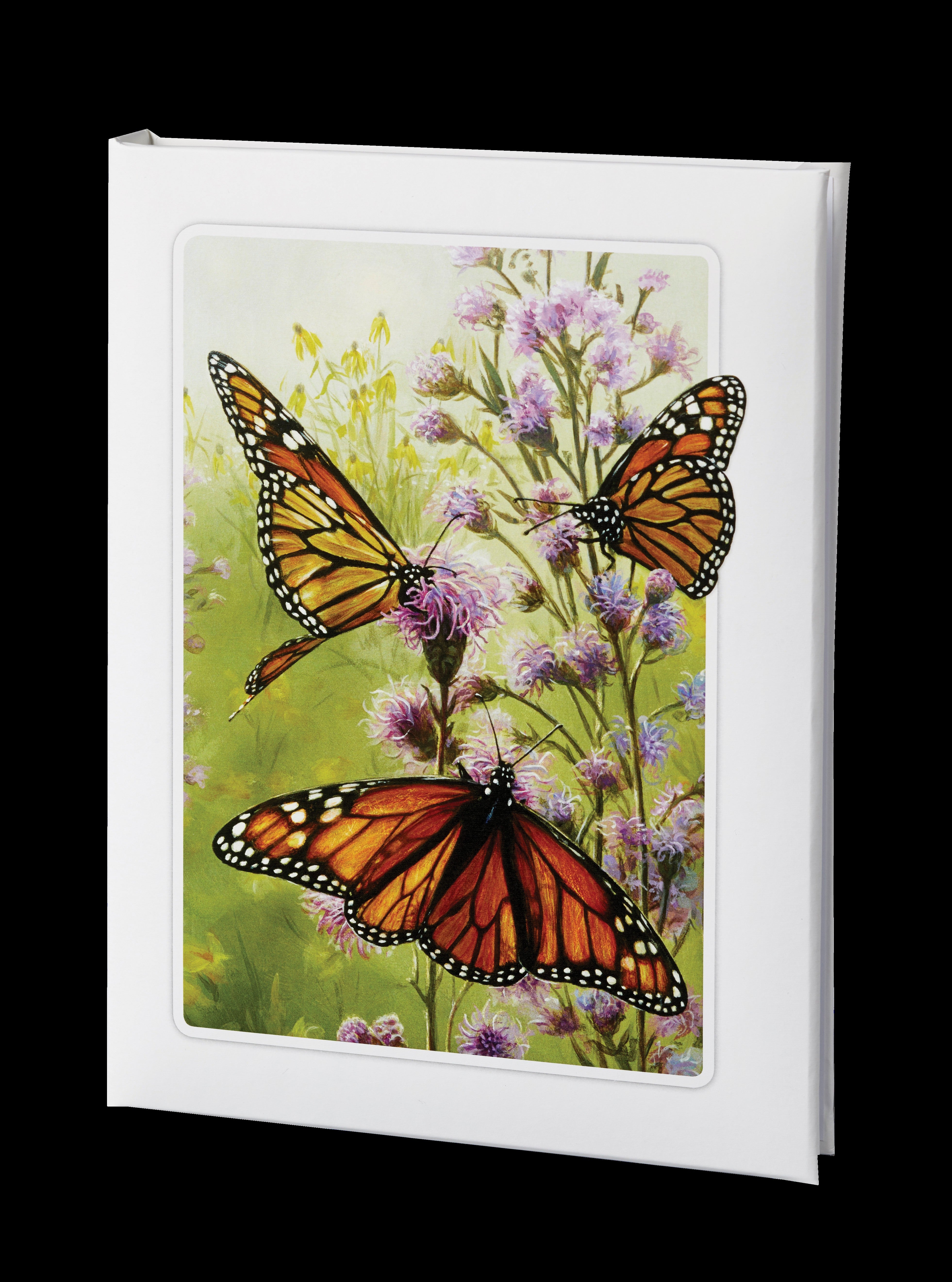 Radiant Line - Butterfly - White - 6 Ring