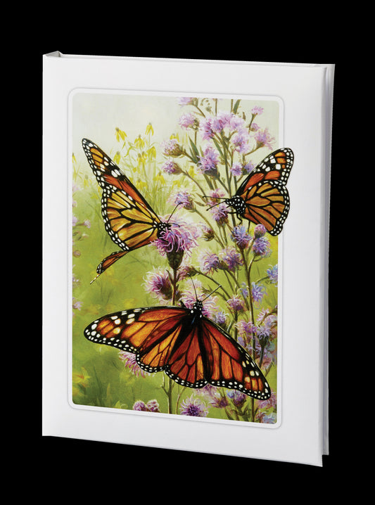 Radiant Line - Butterfly - White - 6 Ring