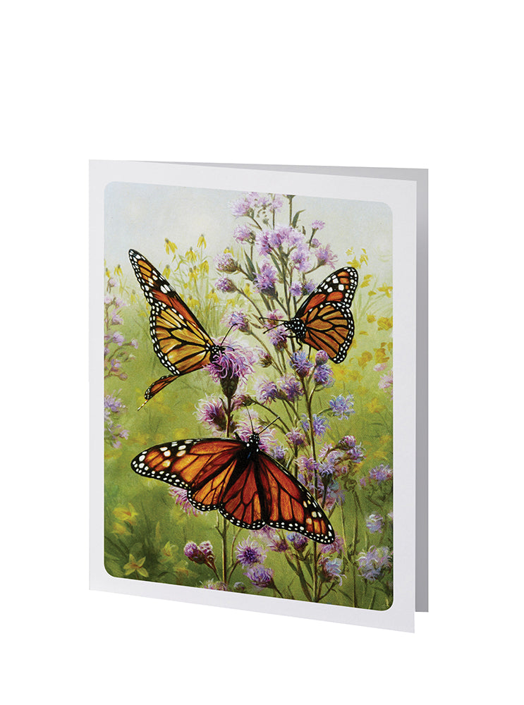 Radiant Line - Butterfly - Service Record