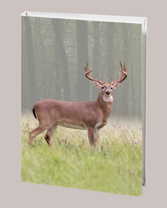Radiant Line - Deer - 6 Ring
