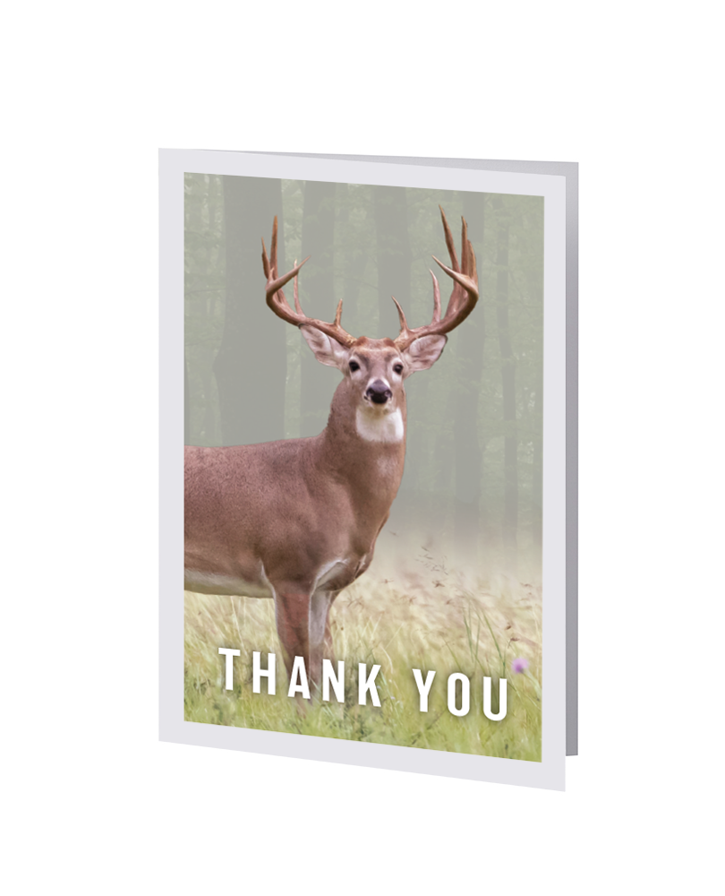 Radiant Line - Deer - Acknowledgment