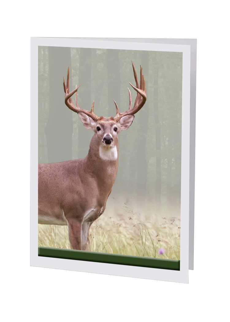 Radiant Line - Deer - Service Record