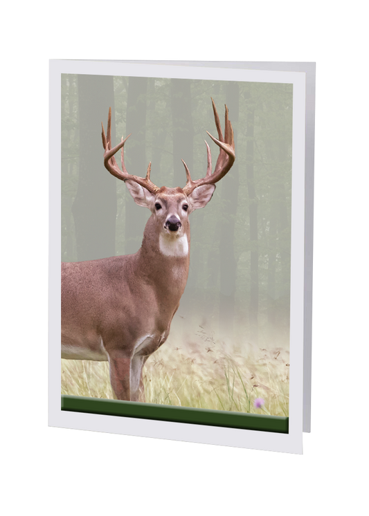 Radiant Line - Deer - Service Record