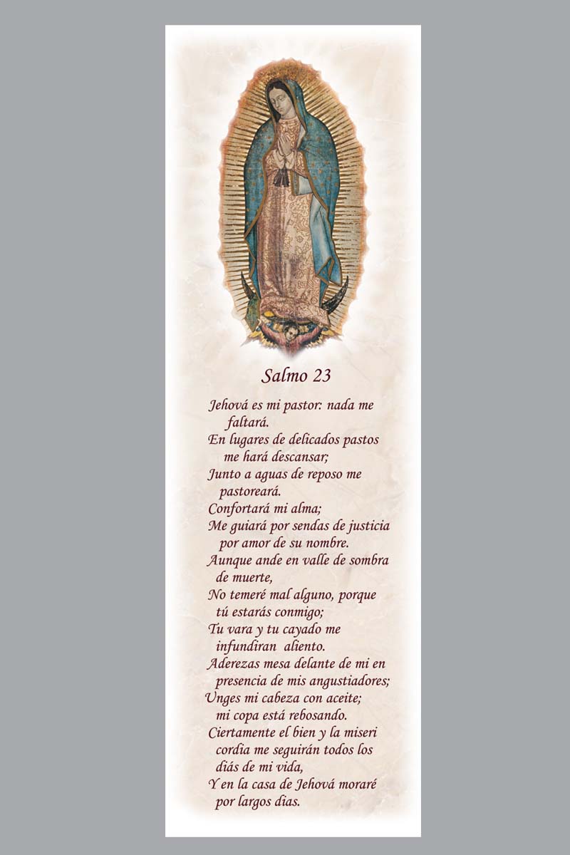 Lady of Guadalupe