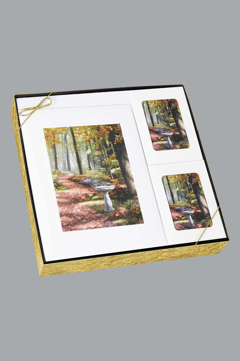 The Path in the Forest White Box Set