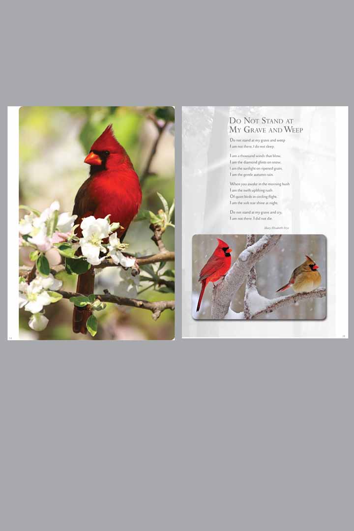 Cardinal - Themed Divider Pages