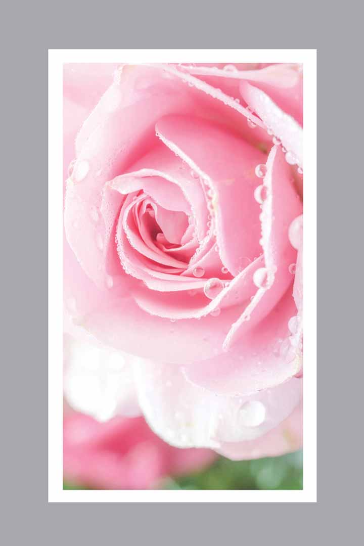 Cherished Rose Prayer Card