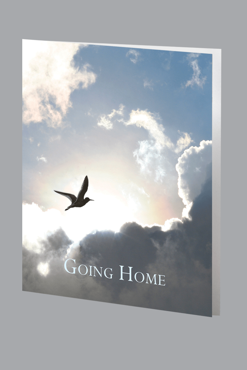 Single dove with clouds Going Home Service Record