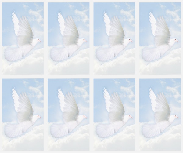 8x White Dove on gentle blue sky Prayer Cards