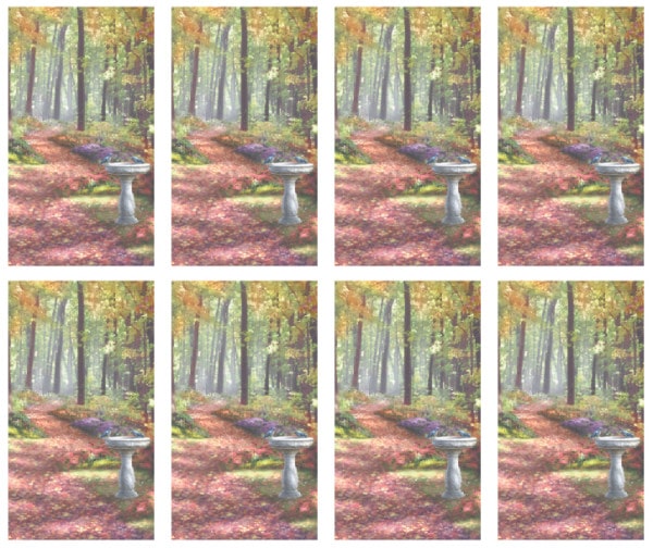 8x Path in the Forest with bird bath Prayer Cards
