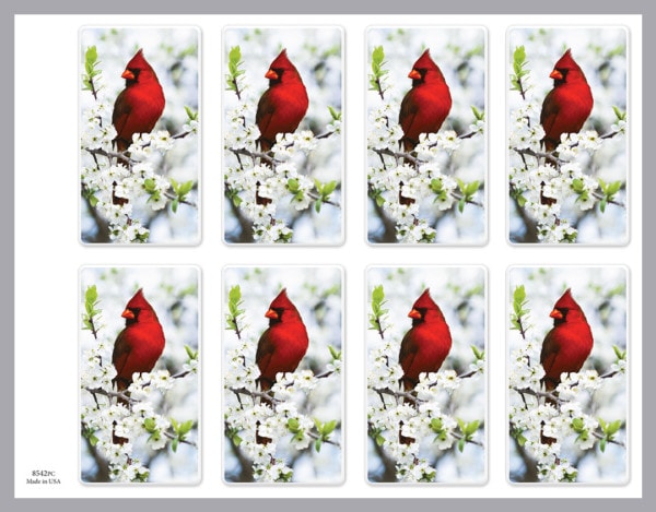 8 up prayer card with bright cardinal