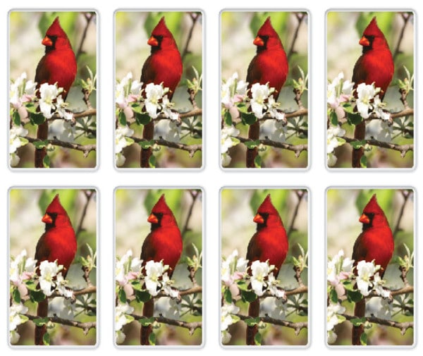 8 up Cardinal Prayer Cards 8542-PC